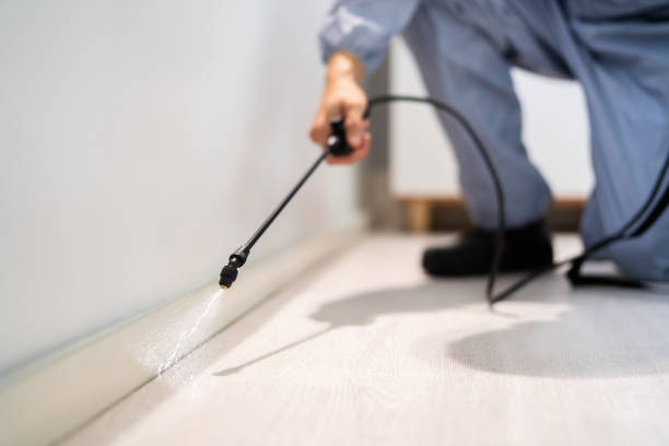 Bed Bug Pre-Treatment Preparation Assessment in Osburn