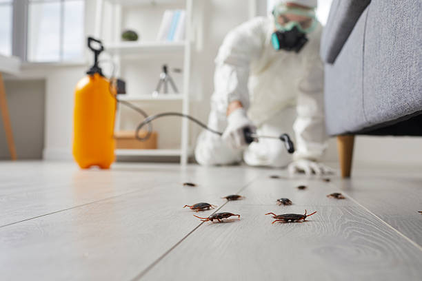 Post-Treatment Bed Bug Interceptor Monitoring in Osburn