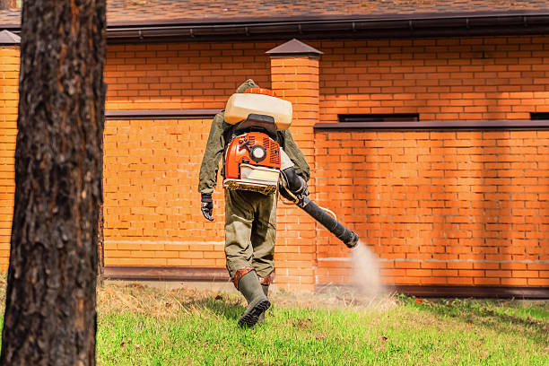 Bed Bug Clearance Verification and Documentation in Osburn